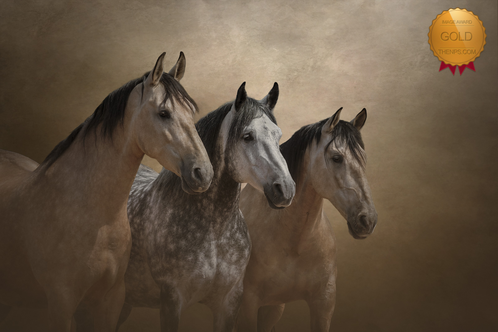 Gold Award winning photograph by Gina Rayment